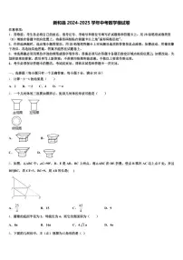 新和县2024-2025学年中考数学模试卷含解析