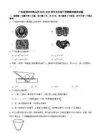广东省深圳市南山区2024-2025学年七年级下学期期末数学试题