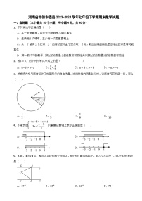 湖南省常德市澧县2023-2024学年七年级下学期期末数学试题