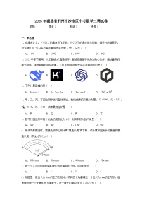 2025年湖北省荆州市沙市区中考数学三调试卷（附答案解析）