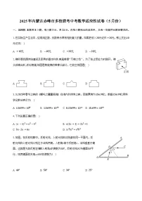 2025年内蒙古赤峰市多校联考中考数学适应性试卷(5月份)(含详解)