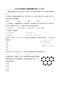 2025年6月甘肃省中考数学模拟试卷（含答案）