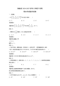 海南省2024-2025学年八年级下学期期末考试数学试卷（解析版）