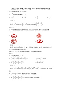 黑龙江省齐齐哈尔市铁峰区2025年中考模拟数学试卷（解析版）