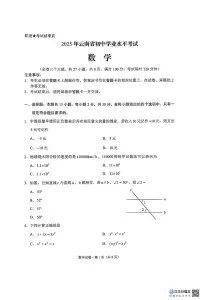 2025年云南省中考数学真题（无答案）