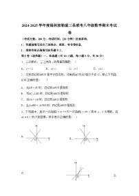 2024-2025学年八年级期末考试八年级下学期7月期末数学检测试卷