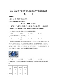2024-2025学年八年级下学期7月期末数学检测试卷
