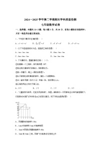 2024-2025学年甘肃省酒泉市七年级下学期期末质量检测数学检测试卷