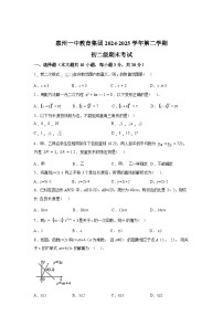 2024-2025学年广东省惠州市惠州一中教育集团八年级下学期数学期末试卷