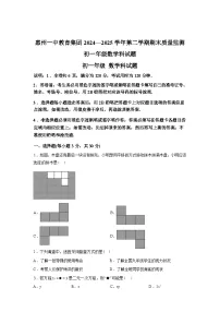 2024-2025学年广东省惠州市惠州一中教育集团下学期七年级数学期末质量监测试卷