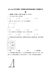 2024-2025学年广东省惠州市惠阳区八年级下学期7月期末数学检测试卷