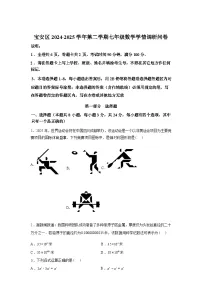 2024-2025学年广东省深圳市宝安区下学期期末考试七年级数学检测试卷