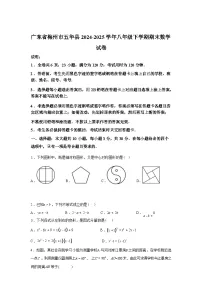 2024-2025学年广东省梅州市五华县八年级下学期期末数学检测试卷