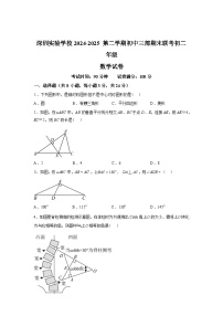 2024-2025学年广东省深圳实验学校下学期期末考试八年级数学检测试卷