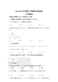 2024-2025学年广东省汕头市澄海区八年级下学期期末考试数学检测试卷
