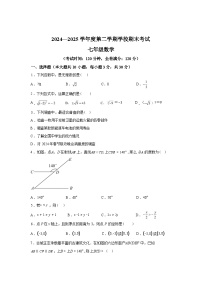 2024-2025学年广东省惠州市仲恺区下学期七年级数学期末考试试卷