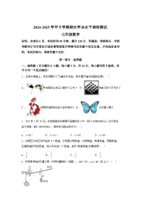 2024-2025学年广东省深圳市光明区七年级下学期期末考试数学检测试卷
