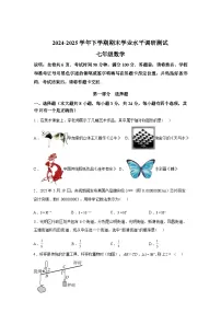 2024-2025学年广东省深圳市光明区七年级下学期期末考试数学检测试卷