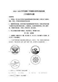 2024-2025学年广东省深圳市南山区八年级下学期数学期末试卷