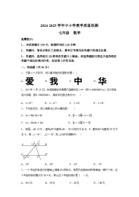 2024-2025学年贵州省毕节市七年级下学期7月期末数学检测试卷