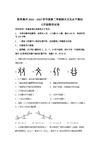 2024-2025学年贵州省黔东南苗族侗族自治州七年级下学期7月期末数学检测试卷