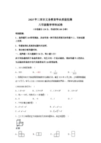 2024-2025学年海南省三亚市八年级下学期期末考试数学检测试卷