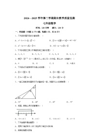 2024-2025学年河北省邯郸市七年级下学期数学期末考试卷