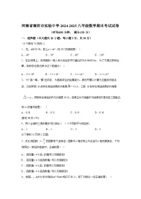 2024-2025学年河南省南阳市实验中学下学期八年级数学期末考试试卷
