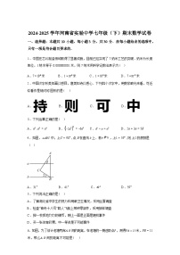 2024-2025学年河南省实验中学下学期七年级期末数学检测试卷-