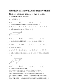 2024-2025学年湖南省湘西州八年级下学期期末考试数学检测试卷