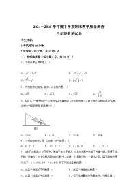 2024-2025学年黑龙江省齐齐哈尔市讷河市八年级下学期期末考试数学检测试卷
