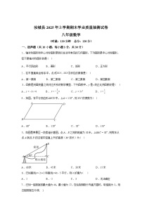 2024-2025学年湖南省郴州市汝城县八年级下学期期末考试数学检测试卷