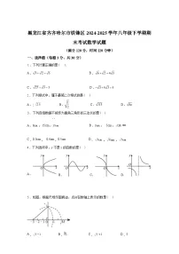 2024-2025学年黑龙江省齐齐哈尔市铁锋区八年级下学期期末考试数学检测试卷