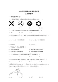 2024-2025学年湖南省永州市宁远县八年级下学期期末考试数学检测试卷