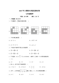 2024-2025学年湖南省永州市宁远县七年级下学期期末考试数学检测试卷