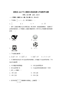 2024-2025学年湖南省株洲市茶陵县七年级下学期期末考试数学检测试卷