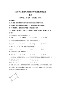 2024-2025学年湖南省株洲市攸县八年级下学期期末考试数学检测试卷