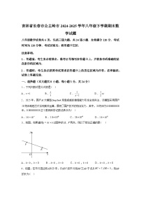 2024-2025学年吉林省长春市公主岭市八年级下学期期末数学检测试卷