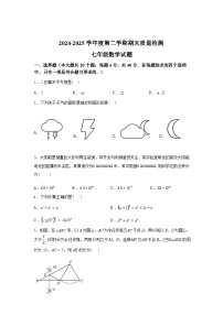 2024-2025学年山东省济南市东南片区七年级下学期期末考试数学检测试卷