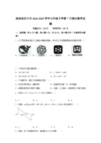 2024-2025学年陕西省汉中市七年级下学期7月期末数学检测试卷