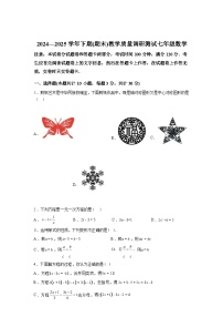 2024-2025学年陕西省西安市雁塔区部分学校七年级下学期期末联考数学检测试卷