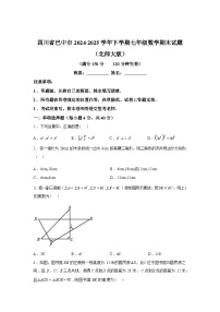 2024-2025学年四川省巴中市下学期七年级数学期末试卷[北师大版]