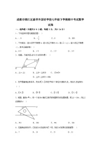 2024-2025学年四川省成都市锦江区嘉祥外国语学校七年级下学期期中考试数学检测试卷