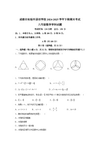 2024-2025学年四川省成都市实验外国语学校八年级下学期期末考试数学检测试卷