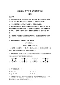 2024-2025学年四川省成都市天府新区七年级下学期期末数学检测试卷