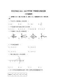 2024-2025学年新疆维吾尔自治区阿克苏地区八年级下学期期末数学检测试卷
