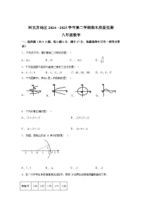 2024-2025学年新疆维吾尔自治区阿克苏地区八年级下学期期末数学检测试卷