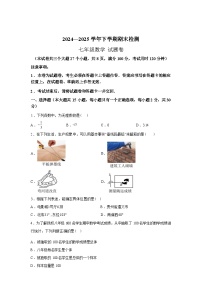 2024-2025学年云南省昆明市七年级下学期7月期末数学检测试卷
