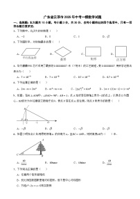 广东省云浮市2025年中考一模数学试题（含解析）