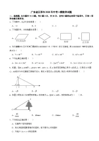 广东省云浮市2025年中考一模数学试题（含解析）